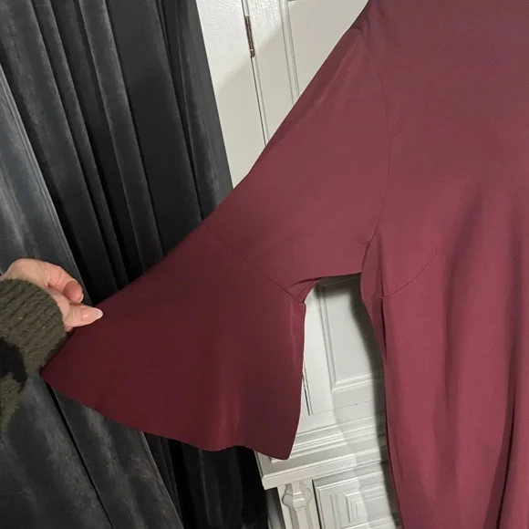 Carmen Marc Valvo Elegant Burgundy Midi Dress Size 18W - Picture 3 of 10